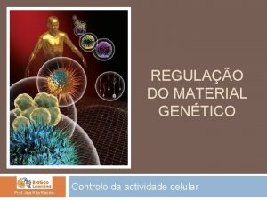 REGULAO DO MATERIAL GENTICO Prof Ana Rita Rainho