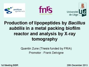 Production of lipopeptides by Bacillus subtilis in a