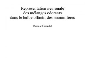 Reprsentation neuronale des mlanges odorants dans le bulbe