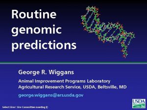 Routine genomic predictions George R Wiggans Animal Improvement