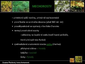 MECHOROSTY primitivn vy rostliny primrn suchozemsk prvn fosilie