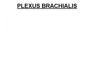 PLEXUS BRACHIALIS Pokozen perifernch nerv snadno poraniteln msta