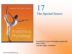 17 The Special Senses Power Point Lecture Presentations