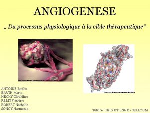 ANGIOGENESE Du processus physiologique la cible thrapeutique http