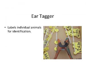 Ear Tagger Labels individual animals for identification Tip