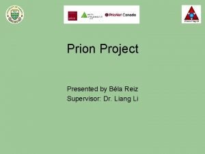 Prion Project Presented by Bla Reiz Supervisor Dr