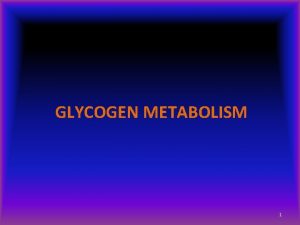 GLYCOGEN METABOLISM 1 Glycogen Structure Most of the