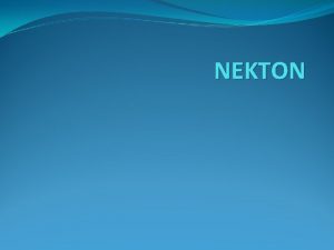 NEKTON INTRODUCTION Nekton comprises all the fast and