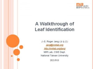 A Walkthrough of Leaf Identification J S Roger