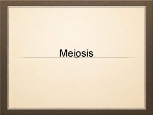 Meiosis Keypoint 1 Mitosis and Meiosis are two