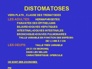 DISTOMATOSES VERS PLATS CLASSE DES TREMATODES LES ADULTES