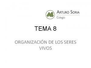 TEMA 8 ORGANIZACIN DE LOS SERES VIVOS COMPARATIVA