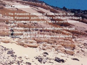 The Palaeozoic The Palaeozoic outcrops of southwestern Sinai