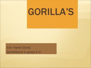 GORILLAS Van Karen Groot Spreekbeurt in groep 6