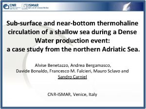 Subsurface and nearbottom thermohaline circulation of a shallow