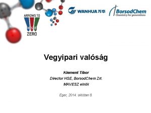 Vegyipari valsg Klement Tibor Director HSE Borsod Chem