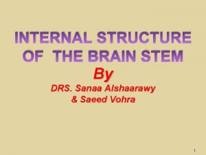 INTERNAL STRUCTURE OF THE BRAIN STEM By DRS