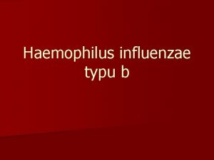 Haemophilus influenzae typu b Haemophilus influenzae typu b