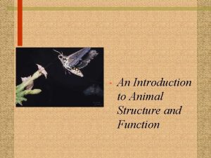 An Introduction to Animal Structure and Function Animal