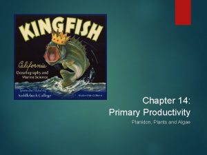 Chapter 14 Primary Productivity Plankton Plants and Algae