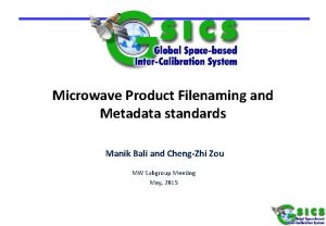 Microwave Product Filenaming and Metadata standards Manik Bali