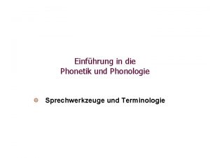 Einfhrung in die Phonetik und Phonologie Sprechwerkzeuge und