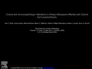 Clinical and Immunopathologic Alterations in Rhesus Macaques Affected