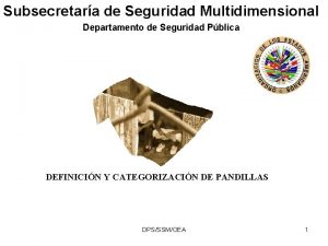 Subsecretara de Seguridad Multidimensional Departamento de Seguridad Pblica