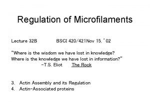 Regulation of Microfilaments Lecture 32 B BSCI 420421