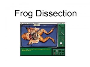 Frog Dissection Scientists believe other vertebrates evolved from