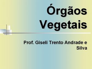 rgos Vegetais Prof Giseli Trento Andrade e Silva