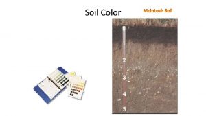 Soil Color Soil Color Probably the most obvious