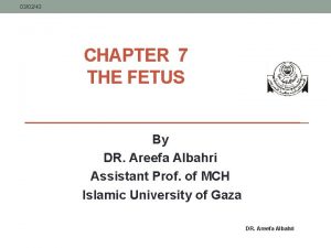 030243 CHAPTER 7 THE FETUS By DR Areefa