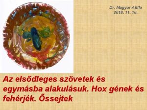 Dr Magyar Attila 2018 11 16 Az elsdleges