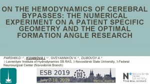 ON THE HEMODYNAMICS OF CEREBRAL BYPASSES THE NUMERICAL