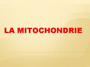 LA MITOCHONDRIE Gnralits Une mitochondrie est un organite