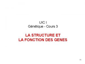 UIC I Gntique Cours 3 LA STRUCTURE ET