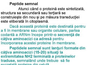 Peptide semnal Atunci cnd o protein este sintetizat