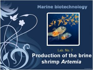Lab No 7 Production of the brine shrimp