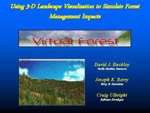 Using 3 D Landscape Visualization to Simulate Forest