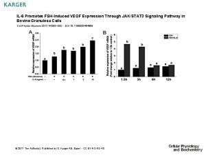 IL6 Promotes FSHInduced VEGF Expression Through JAKSTAT 3