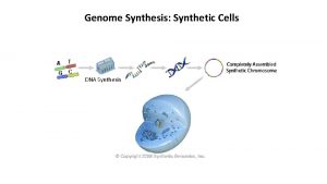 Genome Synthesis Synthetic Cells DNA Synthesis Genome Synthesis