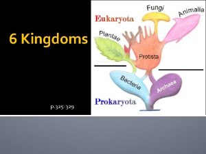 6 Kingdoms p 325 329 3 Domains of