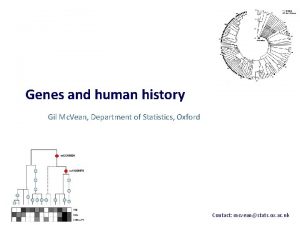Genes and human history Gil Mc Vean Department