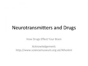 Neurotransmitters and Drugs How Drugs Effect Your Brain