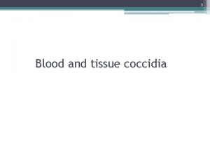 1 Blood and tissue coccidia 2 Learning objective