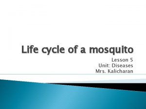 Life cycle of a mosquito Lesson 5 Unit