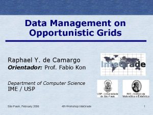 Data Management on Opportunistic Grids Raphael Y de