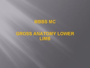 MBBS MC GROSS ANATOMY LOWER LIMB FIRST YEAR