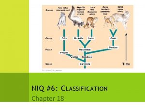NIQ 6 C LASSIFICATION Chapter 18 W HY